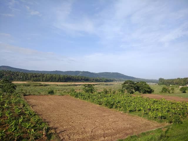 Nature Of Karakkad - Image 1