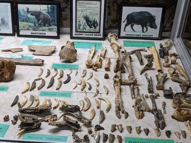 Jacob's Cave - Image 3