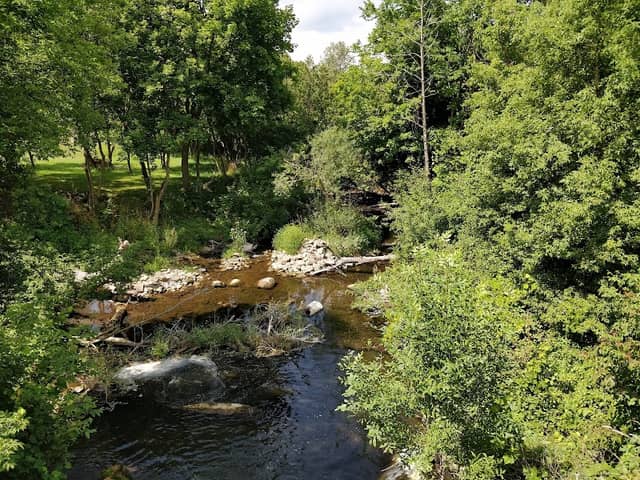 Mildmay Lions Wilderness Park - Image 2