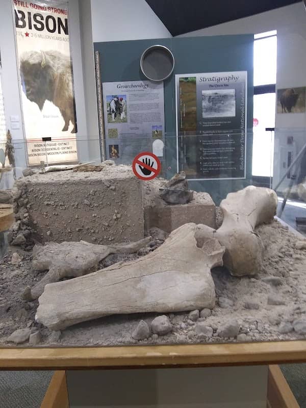 Blackwater Draw Museum - Image 2