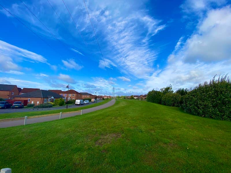 Linear Park East - Image 2