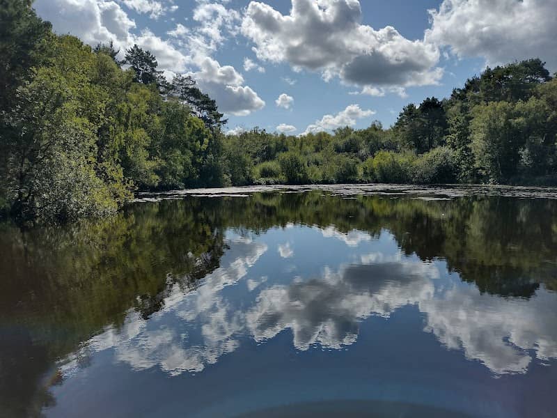 Yateley Common Country Park - Image 1