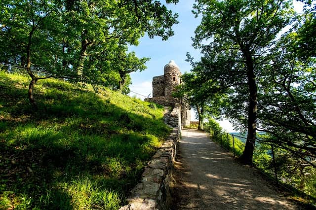 Osteinscher Niederwald - Image 1