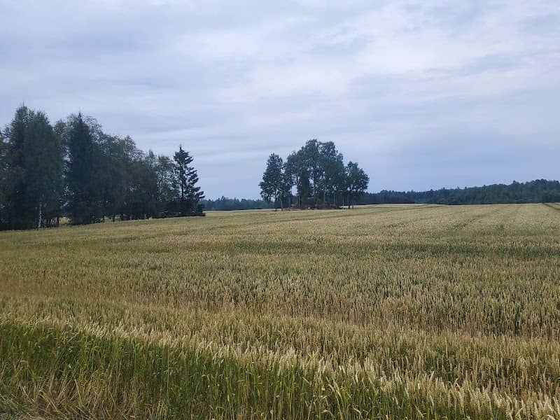 Brotnu gravhaug - Image 2