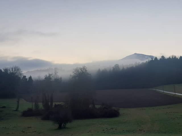 Bildstock - Image 1