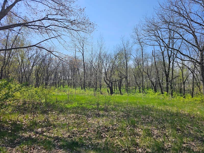 Clear Creek Area - Image 2