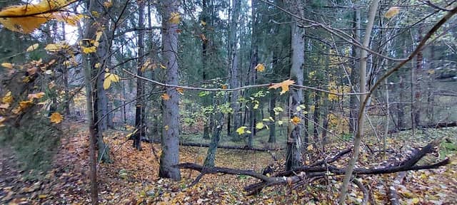 Dödisgrop - Image 1
