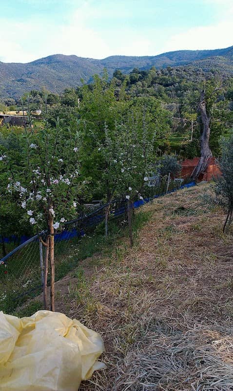 Çocuk Bahçesi - Image 1