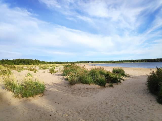 Karhuluoto Dog Beach - Image 1