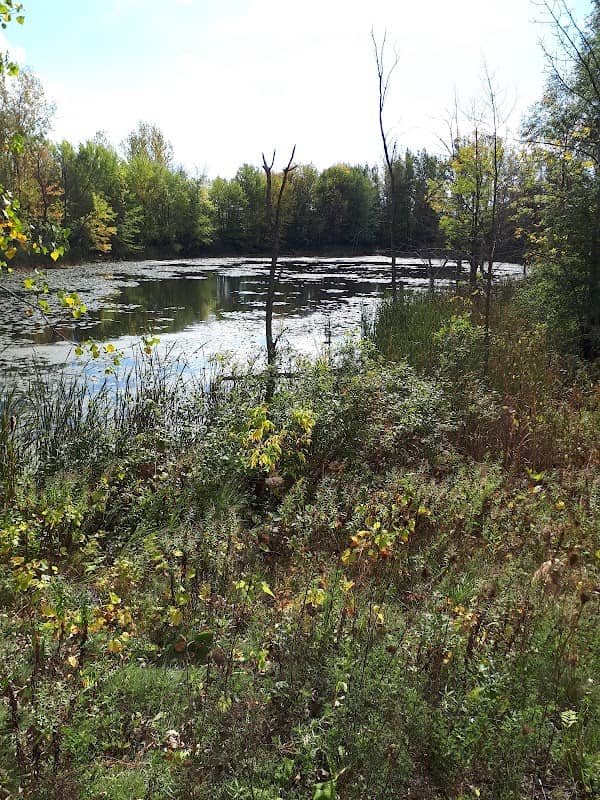 Parc L'Orée-du-Lac - Image 2