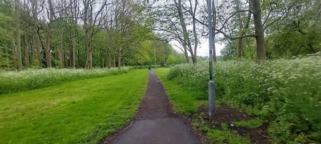 Dunstall Wood - Image 1