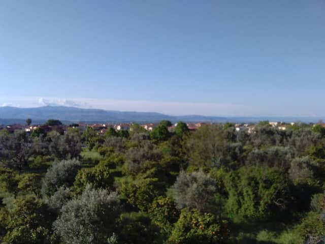 Lamezia Bocce - Image 2