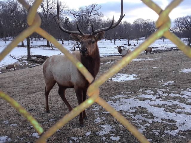 Lords Park Zoo - Image 2