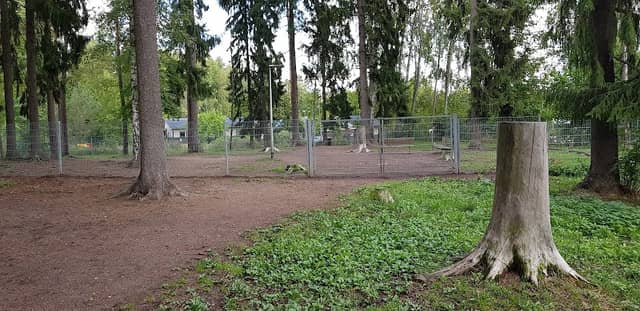 Kurkelan koirapuisto - Image 1