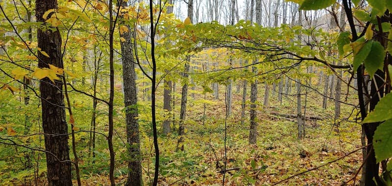 State Game Lands Number 64 - Image 1