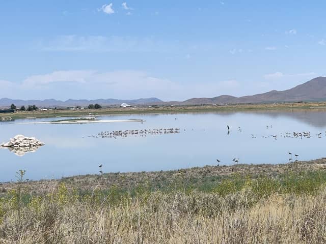 Willcox Playa - Image 1