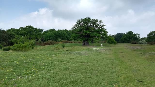 Aspal Close Nature Reserve - Image 1