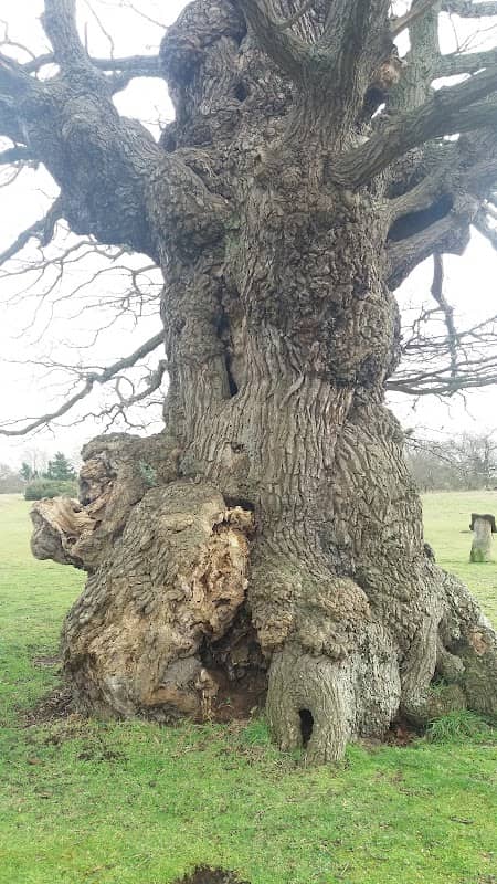 Aspal Close Nature Reserve - Image 2