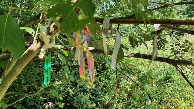 Wunschbaum - Image 1