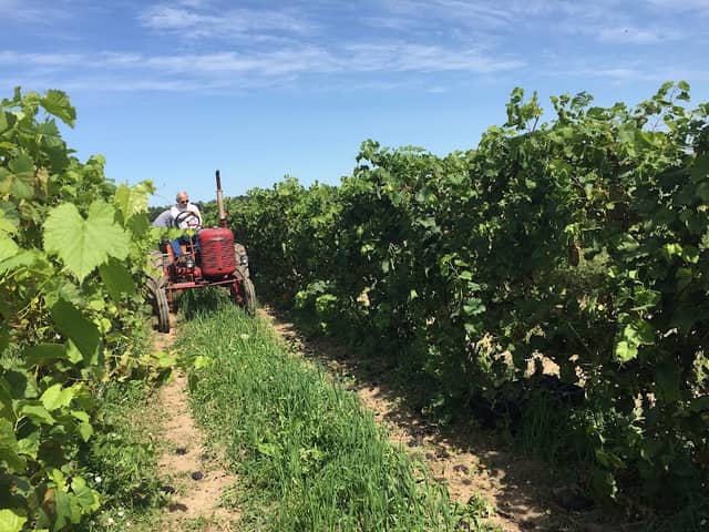Long Cliff Vineyard & Winery, Inc. - Image 1