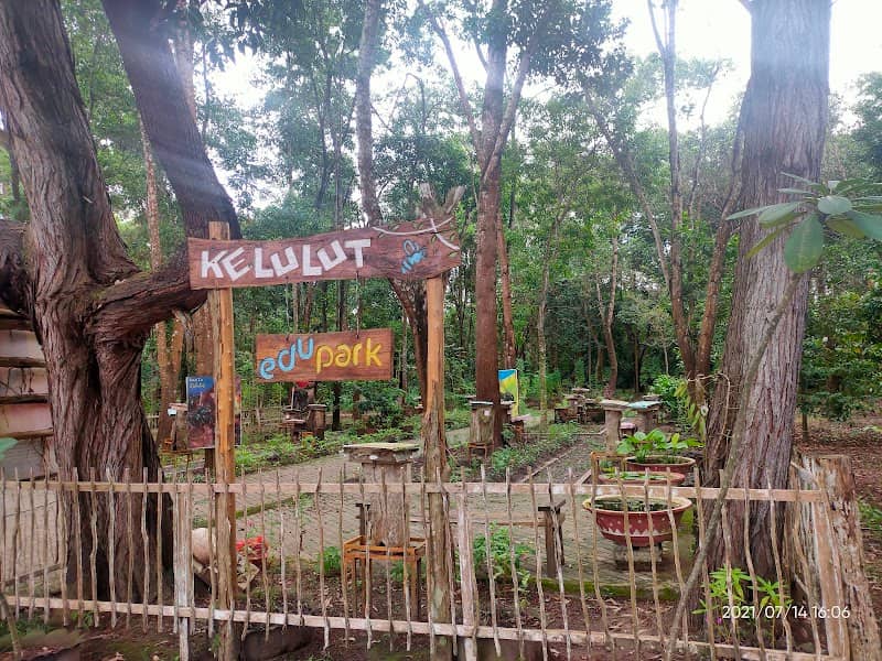 Arboretum Befordi - Image 1