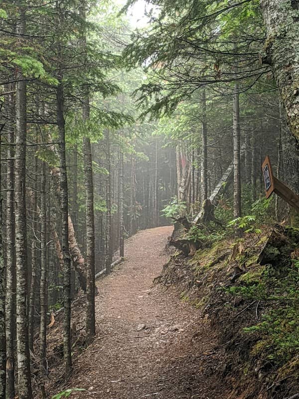 Petit Mont Ste-Anne - Image 2