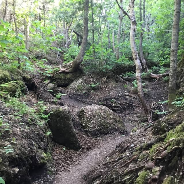 Petit Mont Ste-Anne - Image 3