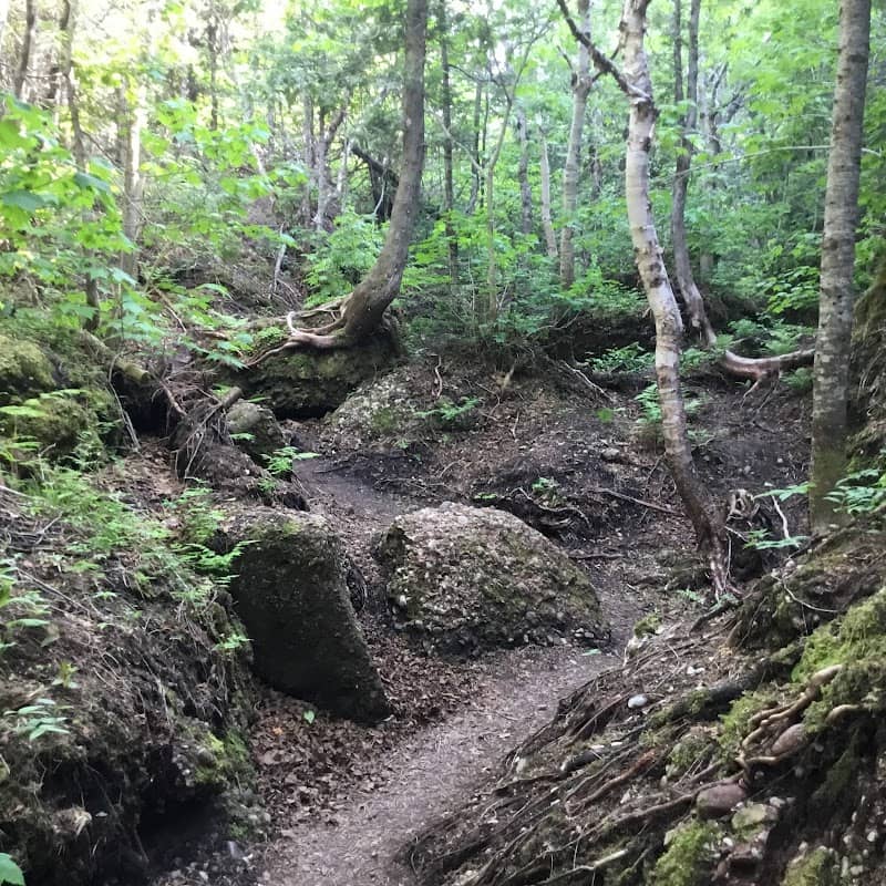 Petit Mont Ste-Anne - Image 3