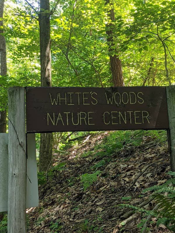 Whites Woods Nature Center - Image 2