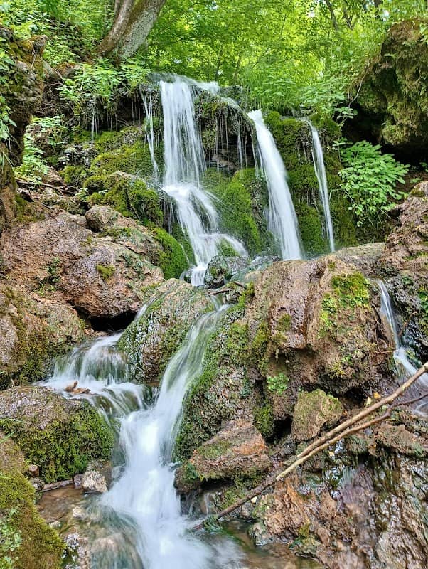 Malanaphy Springs - Image 1