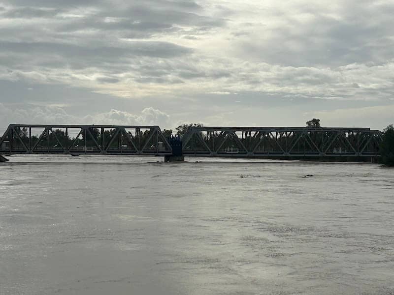 Lungargine del Tagliamento di Latisana - Image 1