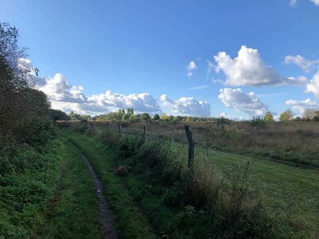 naturnaher Laubwald - Image 1