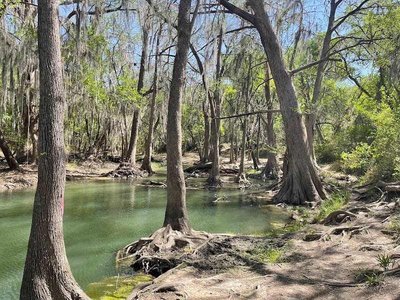 Castroville Regional Park - Image 1