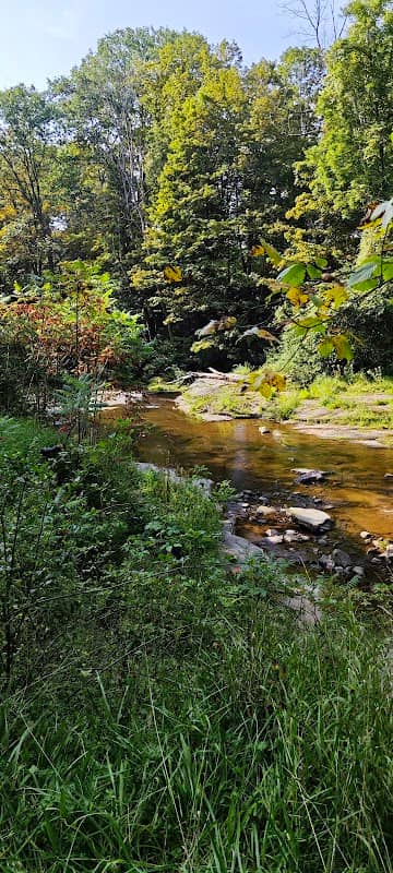Indian Orchard Falls - Image 2