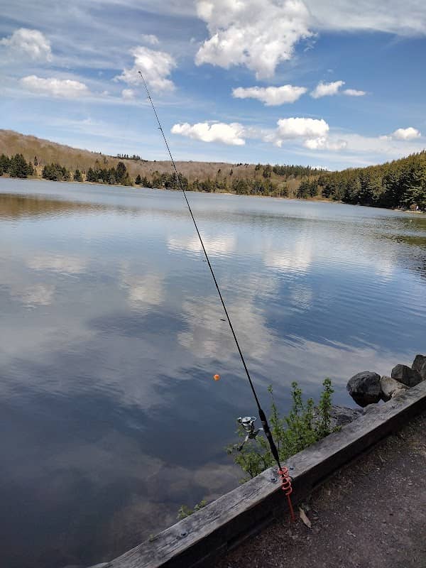 Spruce Knob Lake - Image 2
