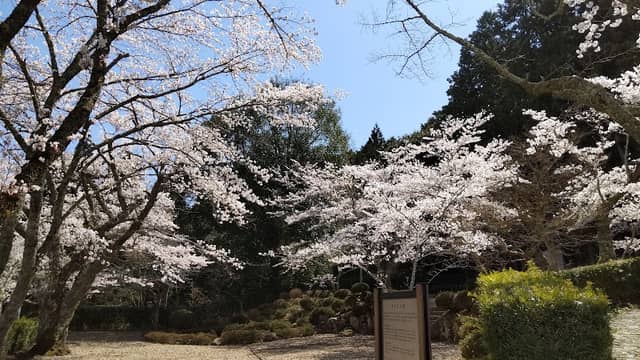 南ヶ丘公園 - Image 1