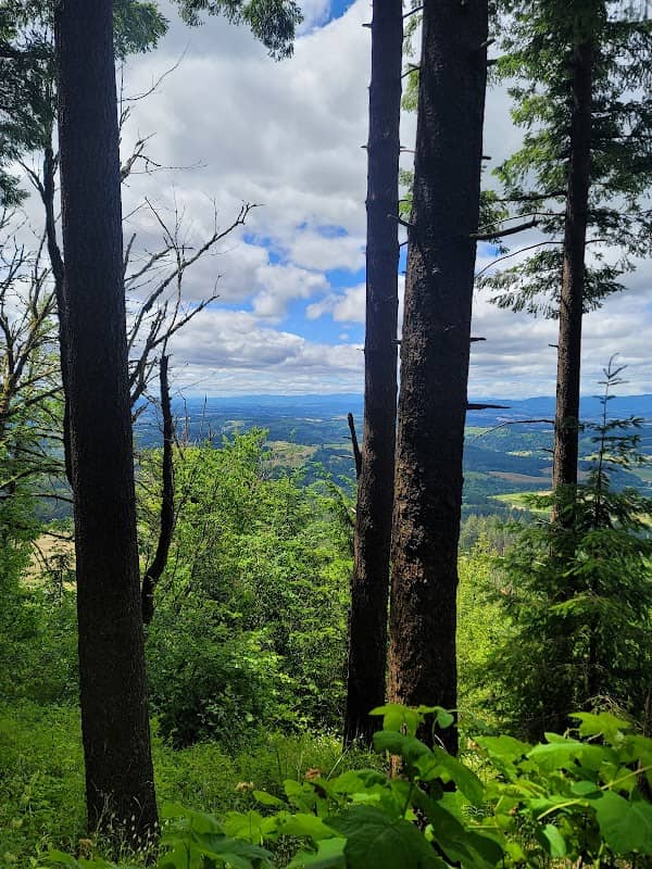Bald Peak State Scenic Viewpoint - Image 1