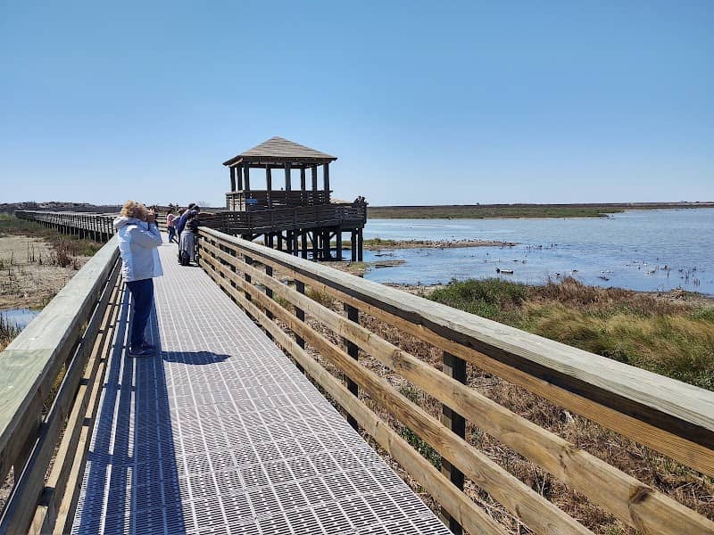 Leonabelle Turnbull Birding Center - Image 3