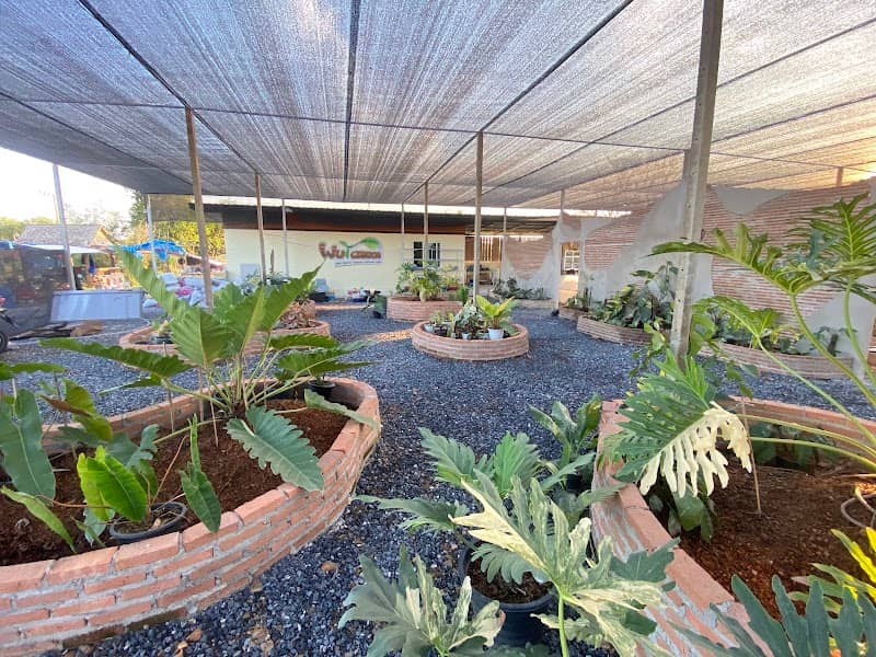 Wut Garden new project - Image 2