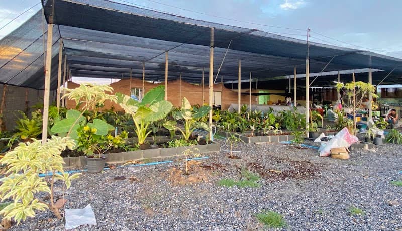 Wut Garden new project - Image 1