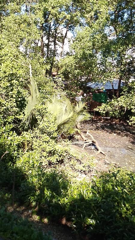 Wraless cemetery - Image 2