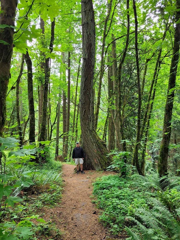 Graham Oaks Nature Park - Image 1