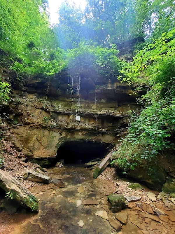 Saunders Springs Nature Preserve - Image 2