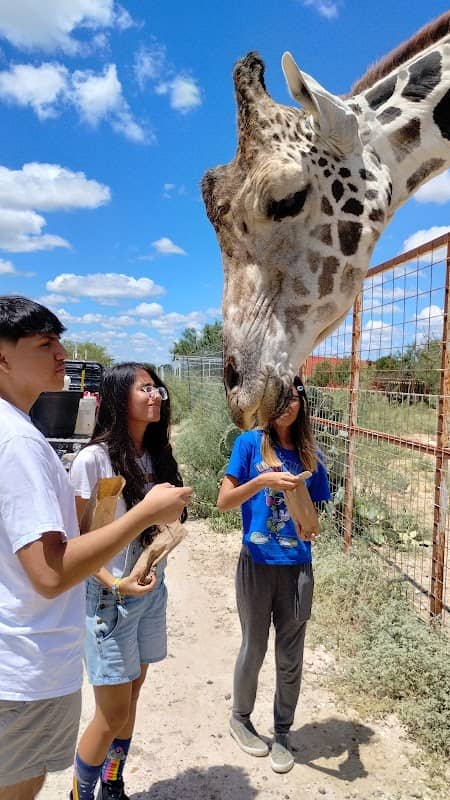 Laredo Safari and Adventure Park - Image 2
