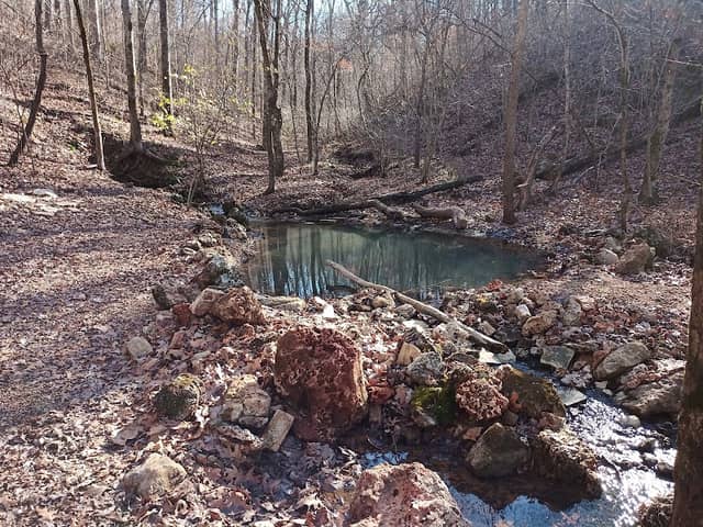 Rattlesnake spring - Image 1