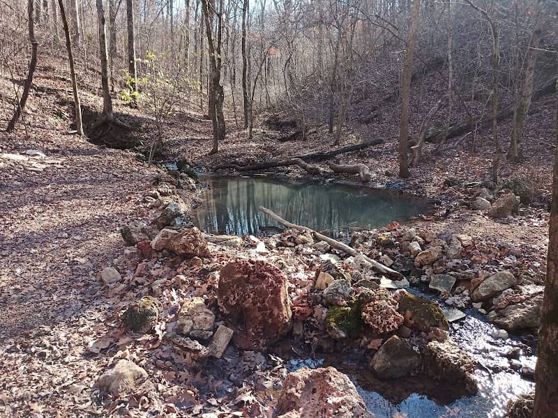 Rattlesnake spring - Image 1