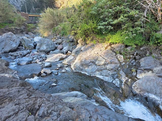 MADOPULTO - morsowanie Madera - Image 2