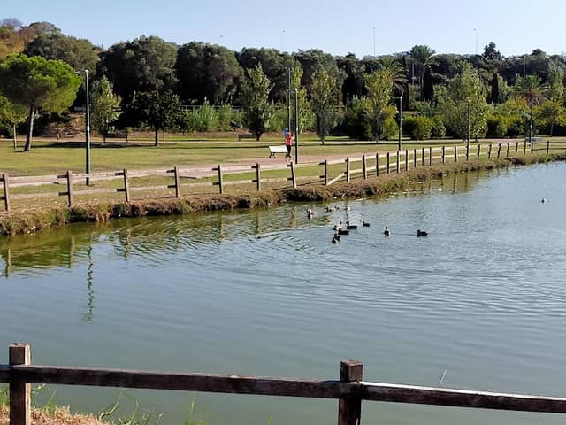 Parco del Cillarese - Image 2