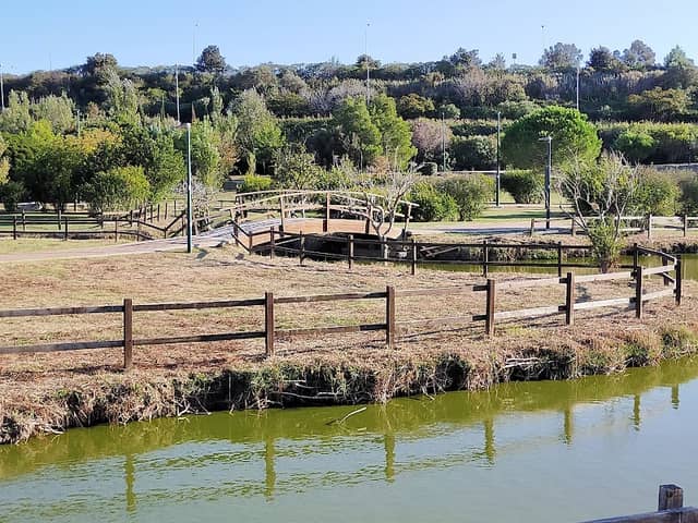Parco del Cillarese - Image 1