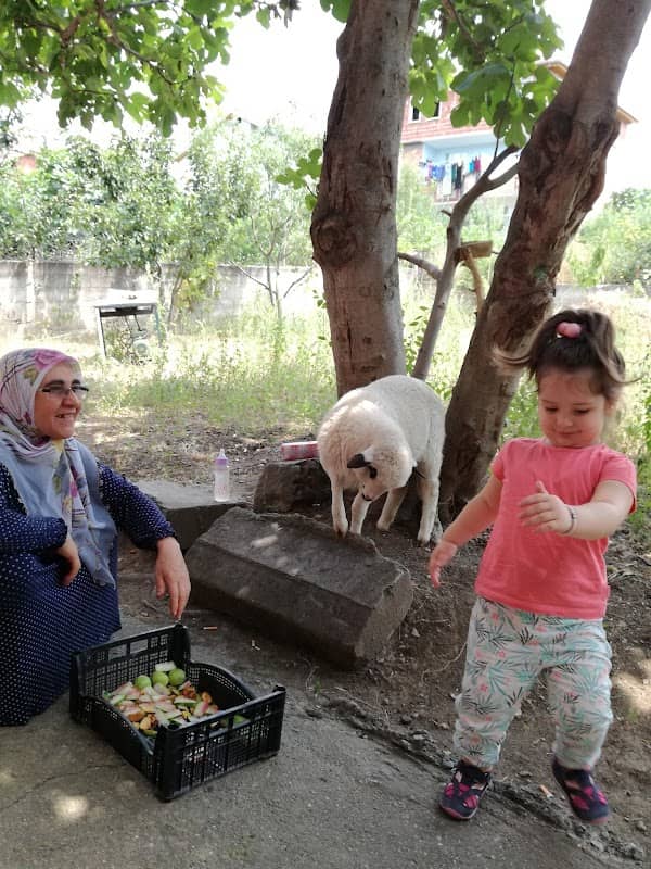 Çocuk Parkı - Image 1